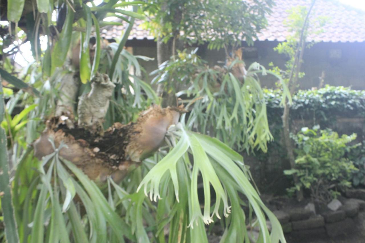 Umah De Arlika Ubud Екстериор снимка