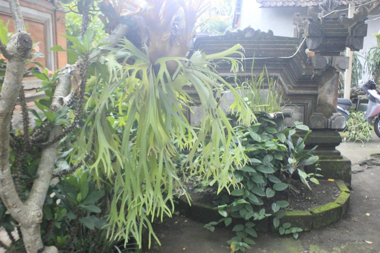 Umah De Arlika Ubud Екстериор снимка