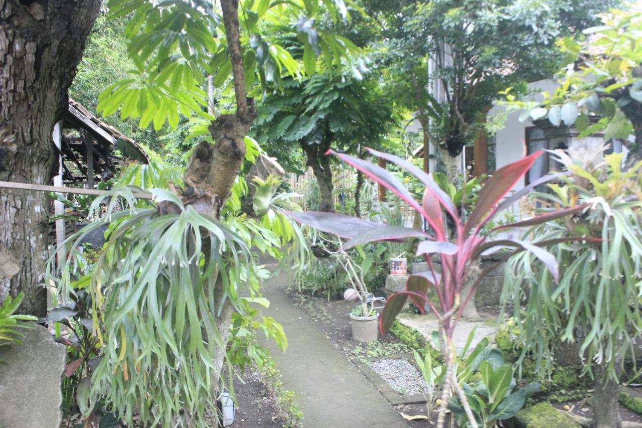Umah De Arlika Ubud Екстериор снимка